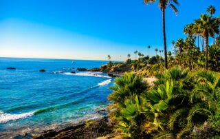 Laguna Beach cove with palm trees and surf, Orange County, California